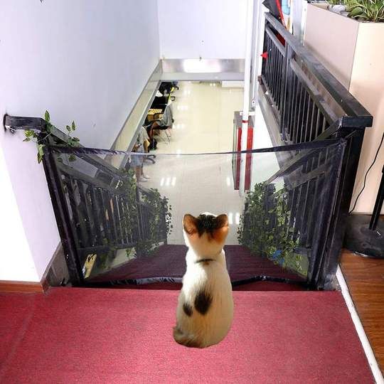 The Ingenious Mesh Magic Pet Gate For Dogs