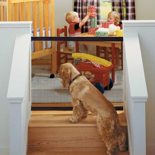 The Ingenious Mesh Magic Pet Gate For Dogs