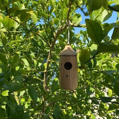 Last Day Sale 50% OFF💕Wooden Hummingbird House-Gift for Nature Lovers